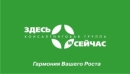Консалтинговая группа "Здесь и Сейчас"